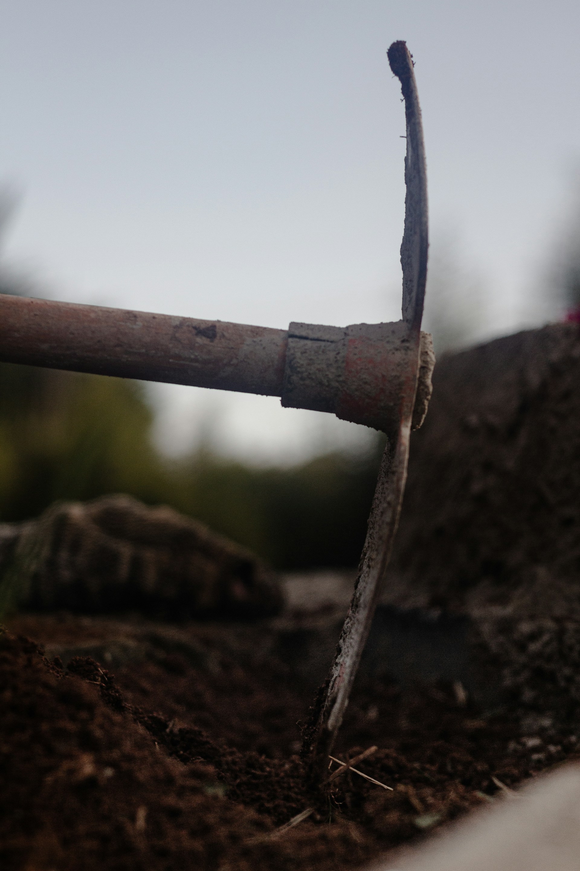 lucas-de-moura-wkZ2kshyDTc-unsplash