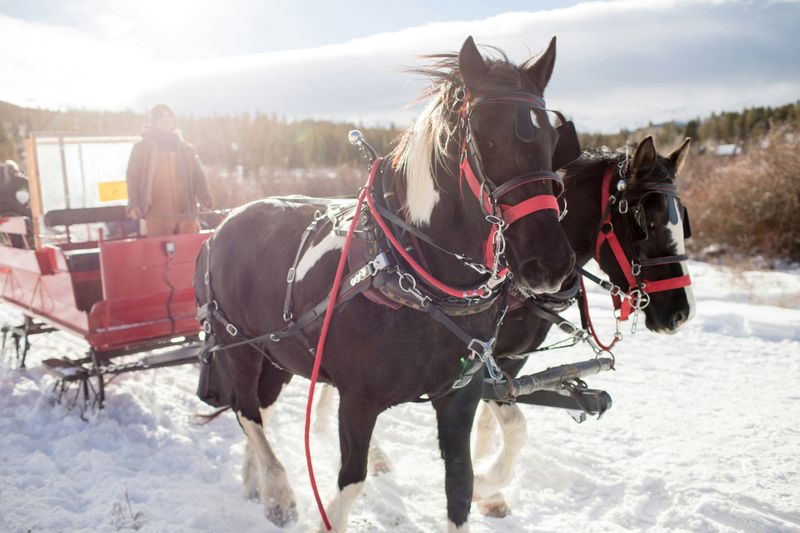 Sleigh Ride experiance