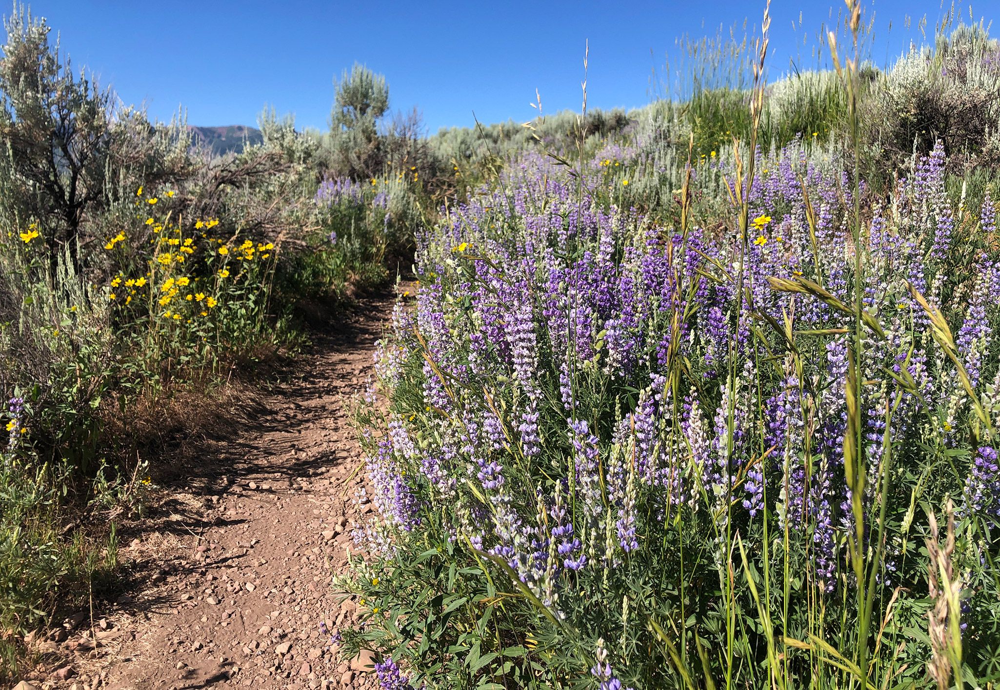 Best beginner hike in Park City