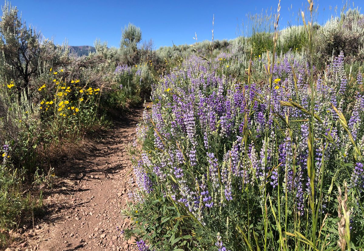 Best beginner hike in Park City