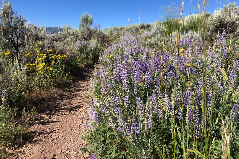 Best beginner hike in Park City