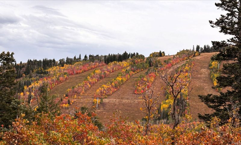 Park City Mountain Fall Foliage