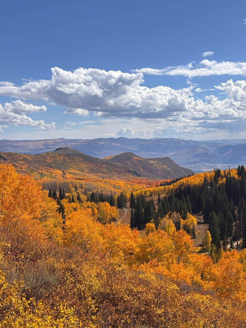 Bonanza Flats in Fall