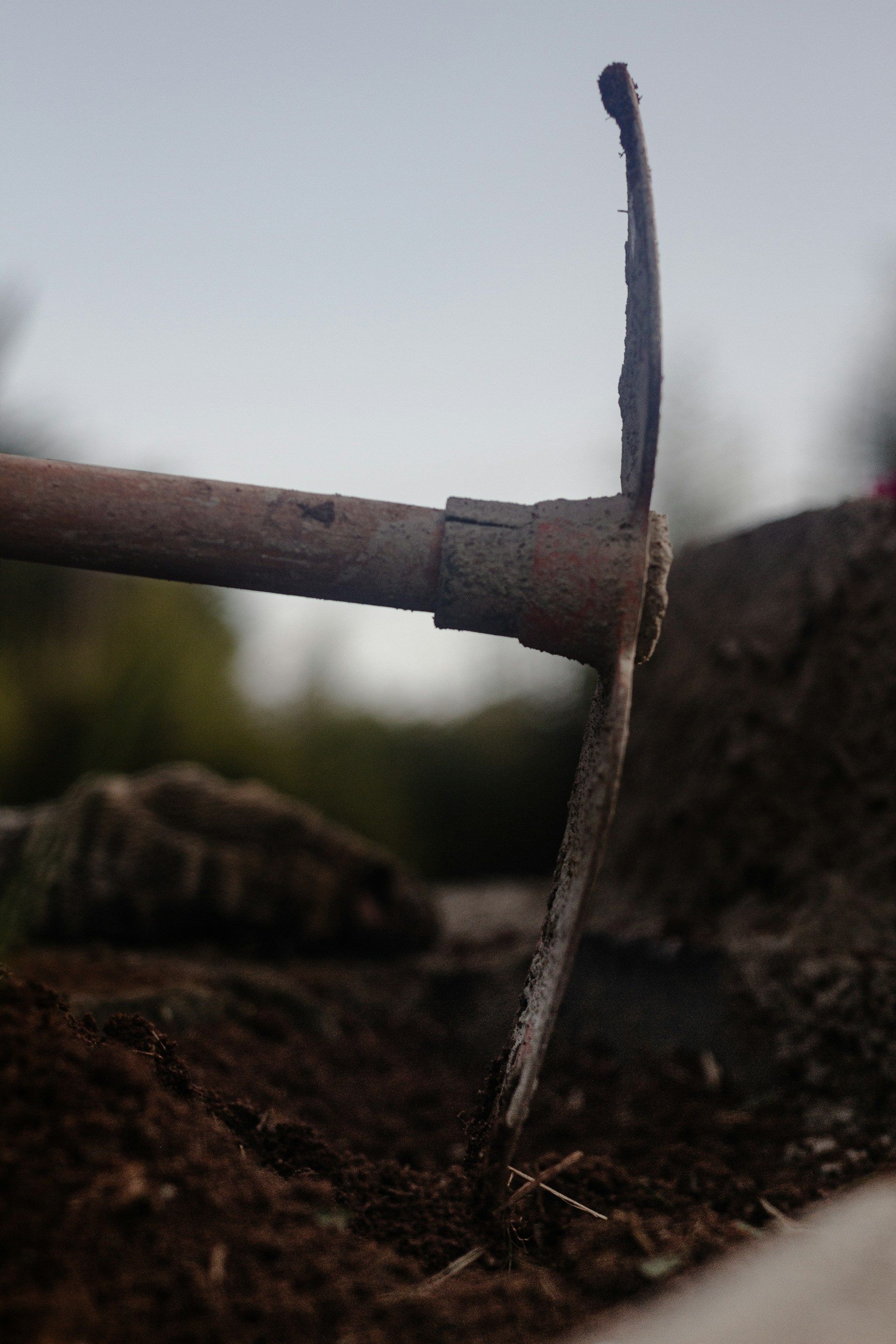 lucas-de-moura-wkZ2kshyDTc-unsplash