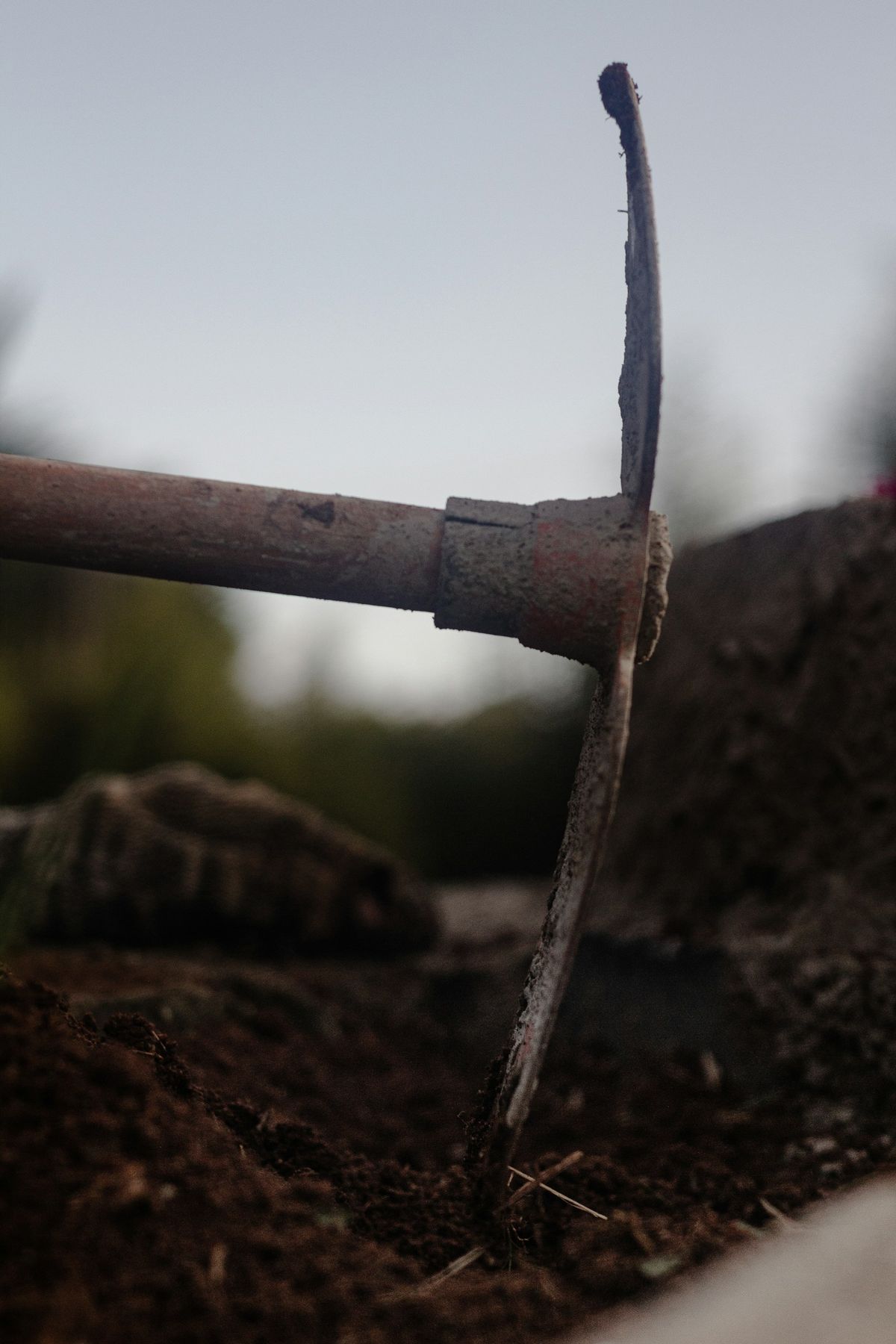 lucas-de-moura-wkZ2kshyDTc-unsplash