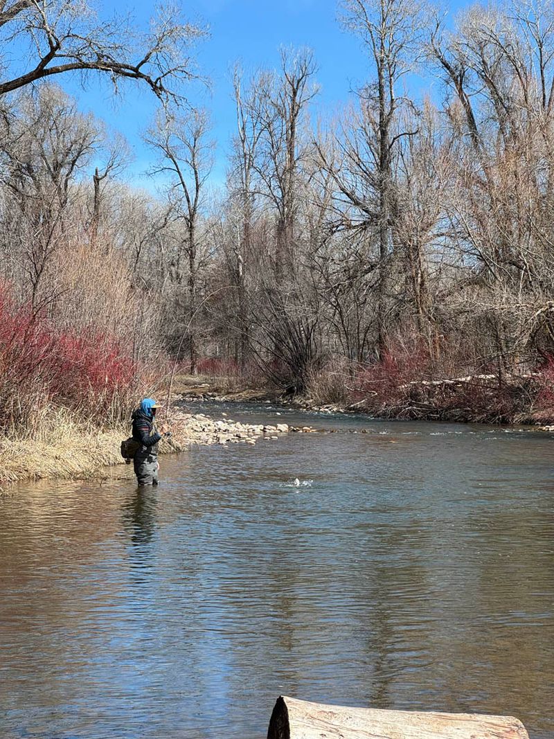 Fall Fishing on the provo river