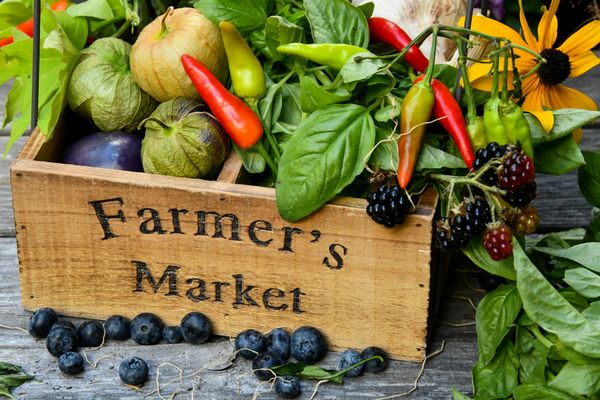farmer's market box