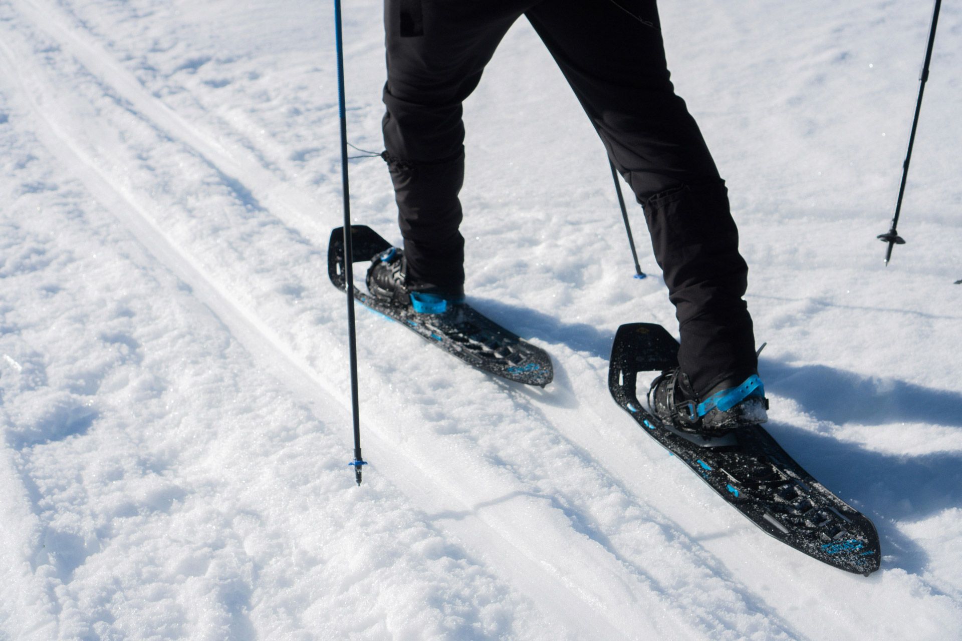 Snowshoe