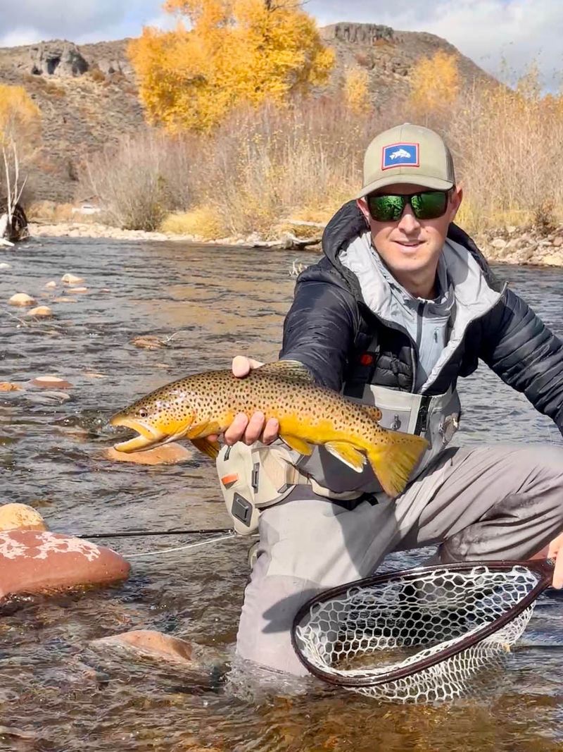 Fall fishing brown trout